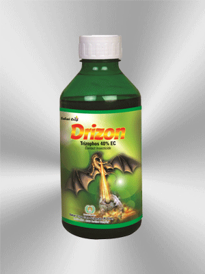 SABARI CORP CARE SCIENCES (P) LTD